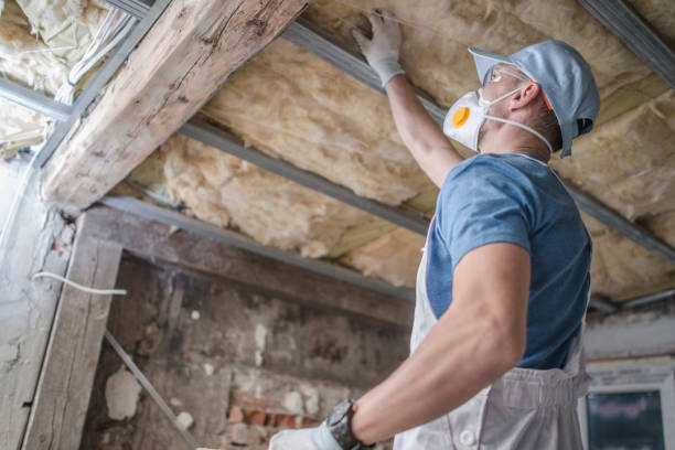 Best Insulation Maintenance and Repair in Haviland, NY
