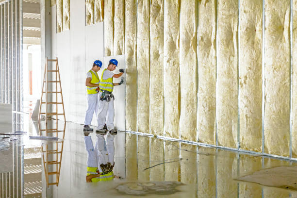 Best Spray Foam Insulation in Haviland, NY